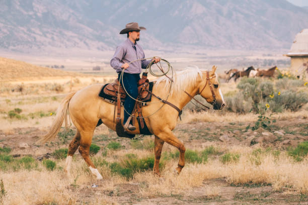istock Cowboy Lifestyle in Utah 845376254