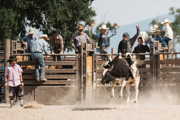 istock Cowboy Lifestyle in Utah 845376264