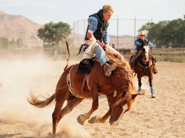istock Cowboy Lifestyle in Utah 845376276