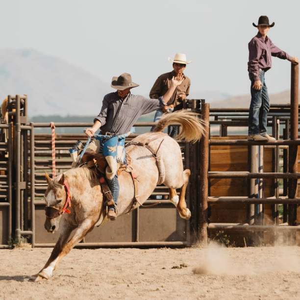 istock Cowboy Lifestyle in Utah 845376278