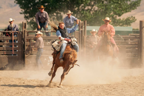 istock Cowboy Lifestyle in Utah 845376292