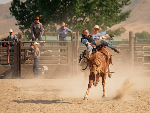istock Cowboy Lifestyle in Utah 845376294