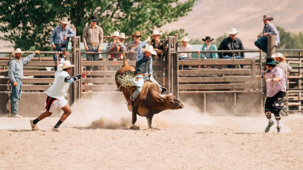 istock Cowboy Lifestyle in Utah 845376340
