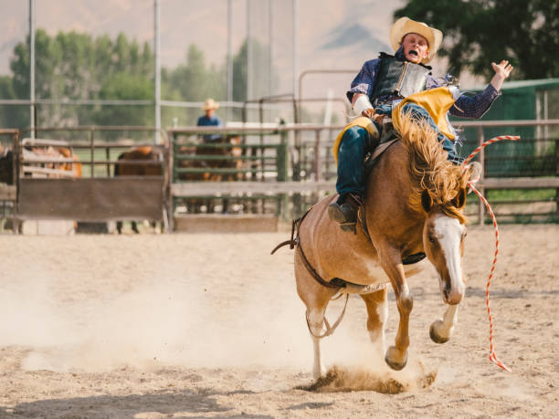 istock Cowboy Lifestyle in Utah 845376386