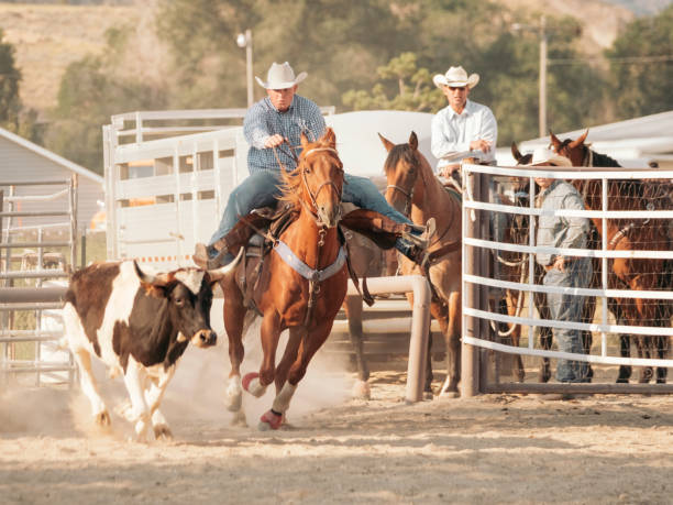 istock Cowboy Lifestyle in Utah 845376428
