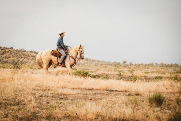 istock Cowboy Lifestyle in Utah 845376452