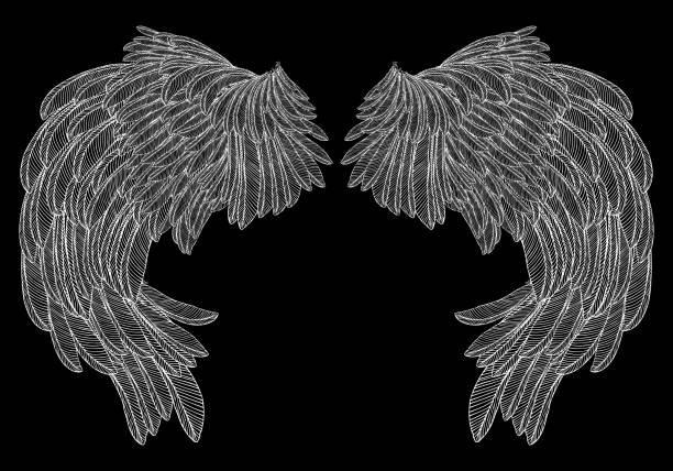 istock Wings pair set. Hand drawn detailed bird wings. Card, poster, t-shirt, smart phone, CD print design. Vector. 845376744