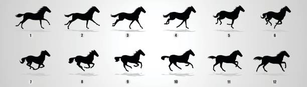 ilustrações, clipart, desenhos animados e ícones de silhueta de ciclo cavalo correr - running horses