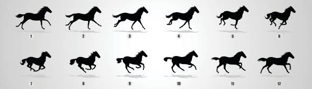 Horse run cycle silhouette Horse run cycle silhouette for animation, loop, wrexham stock illustrations