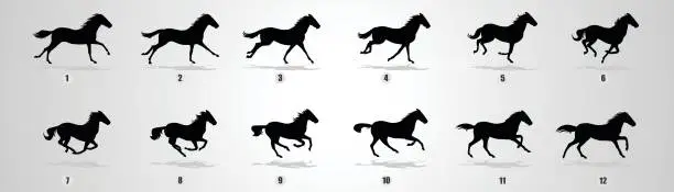 Vector illustration of Horse run cycle silhouette