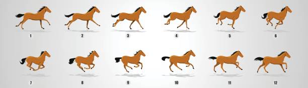 ilustraciones, imágenes clip art, dibujos animados e iconos de stock de caballo de ciclo - wrexham