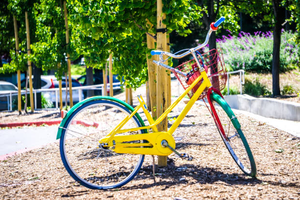 istock May 2017  Silicone Valley California - Google bicycle parked under a tree near googleplex google headquarters 845382030