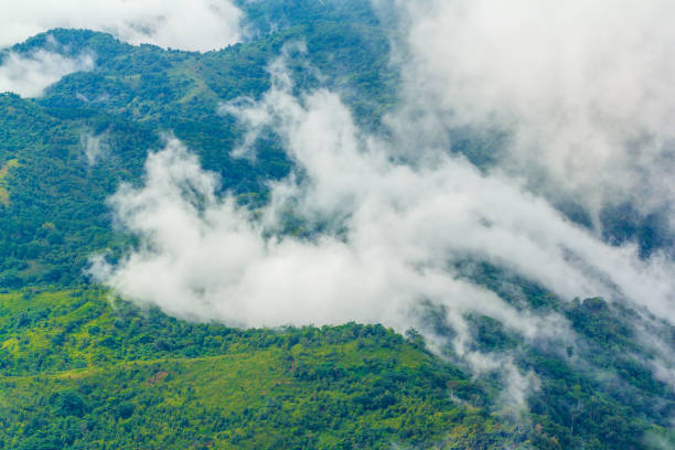 istock mountain and mist in Phu Tab Berk, Thailand 845399262