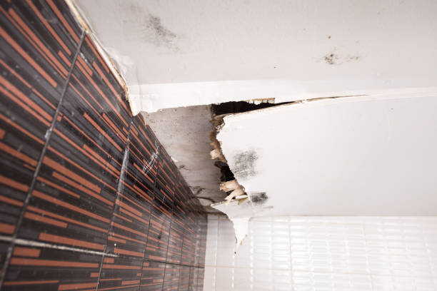 Damaged ceiling from water leak stock photo