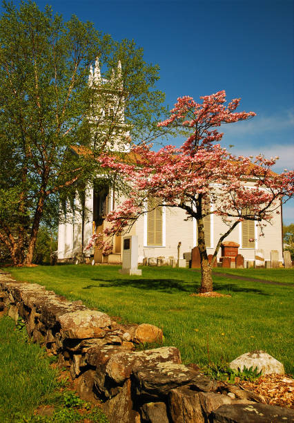 Yorktown, New York, USA May 12, 2008 Flowering trees bloom in spring in front of the Presbyterian Church in Yorktown, New York