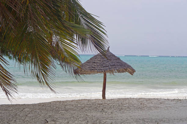 istock East Africa beach 845414054