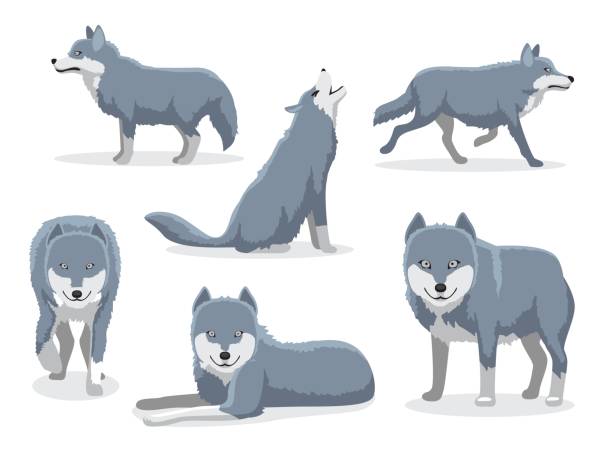 灰色狼漫画文字ベクトル図 - wolf coyote howling dog点のイラスト素材／クリップアート素材／マンガ素材／アイコン素材