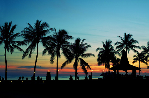 Silhouette Coconut Palm Tree On Beach