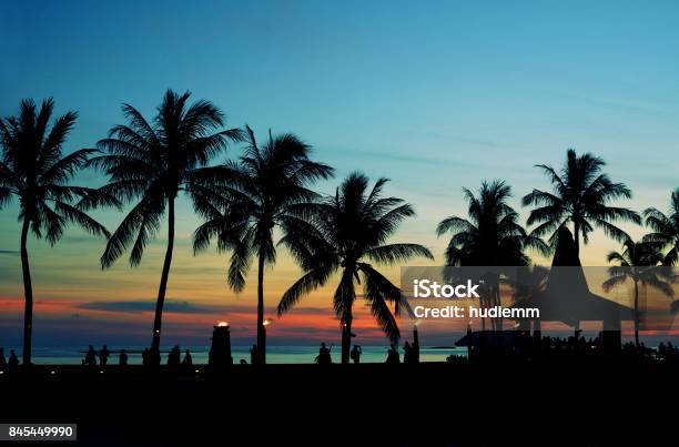 Silhouette Coconut Palm Tree On Beach Stock Photo - Download Image Now - Night, Tropical Climate, Palm Tree