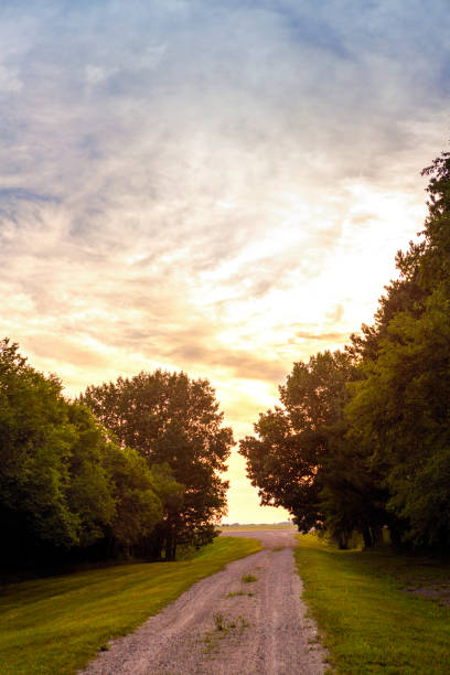 strada tra gli alberi al tramonto - landscaped spring canada footpath foto e immagini stock