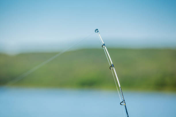 istock End of a fishing rod 845461674