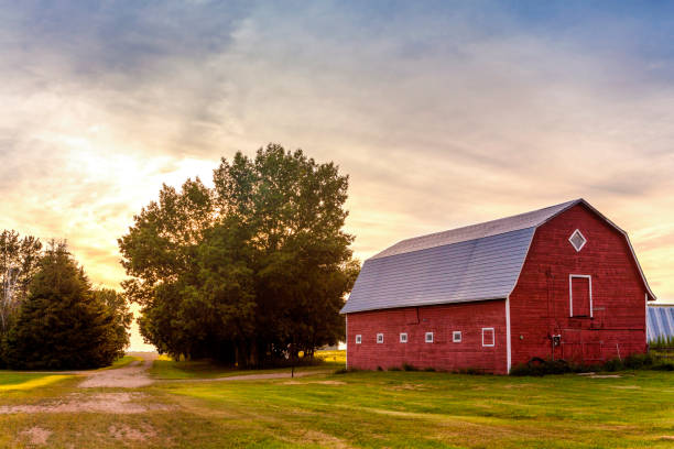 fienile rosso al tramonto - farm barn foto e immagini stock