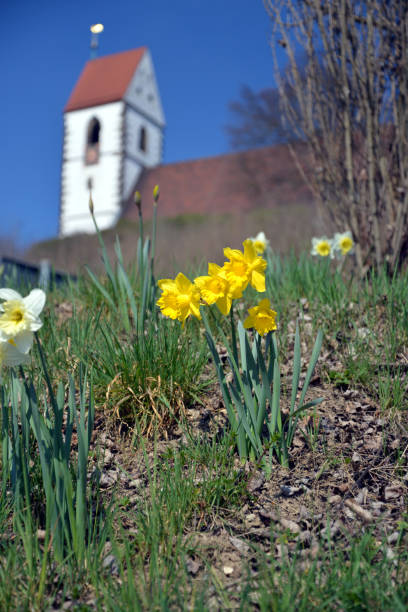 istock Spring in Plochingen (Germany) - Springtime in Plochingen (Germany) 845465042