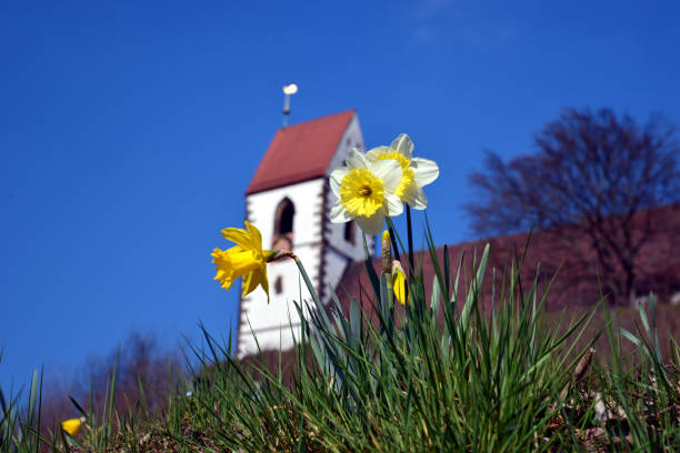 istock Spring in Plochingen (Germany) - Springtime in Plochingen (Germany) 845465074