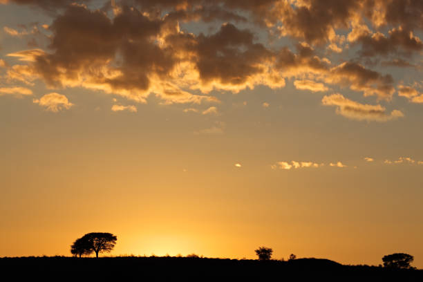 istock African sunrise with silhouetted trees 845467966