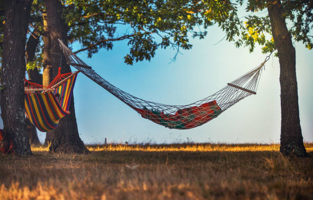 istock Relaxing in the travel hammock in the forest 845474252
