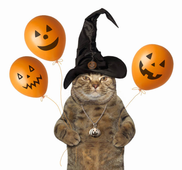 istock Cat with halloween balloons 845474316