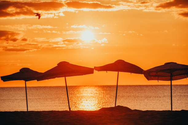 Silhouette of Beach Umbrellas, sunrise shot