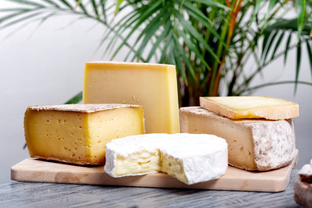 istock the different french cheeses Normandy and Savoie 845479402