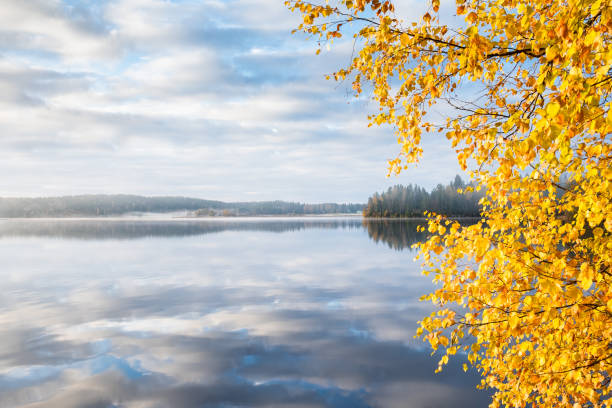 istock Scenic landscape with lake and fall colors at morning light 845479542