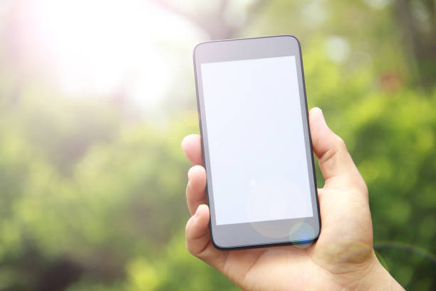 istock Male hand holding blank mobile phone outdoors 845483224