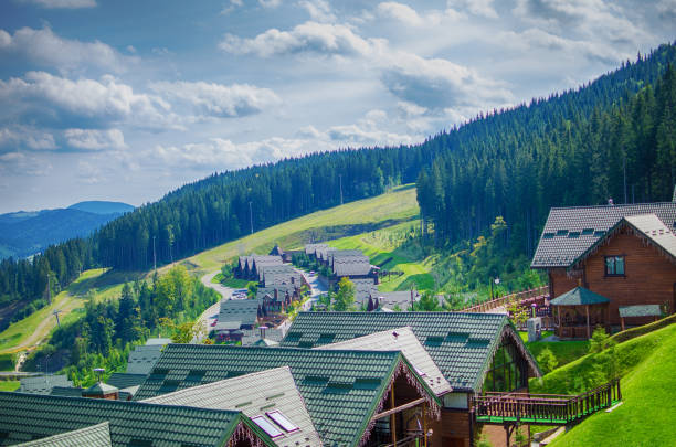 istock Comfortable houses in the Carpathian mountains 845497602