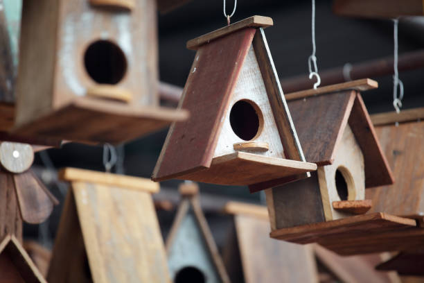 istock wooden bird house as background 845498034