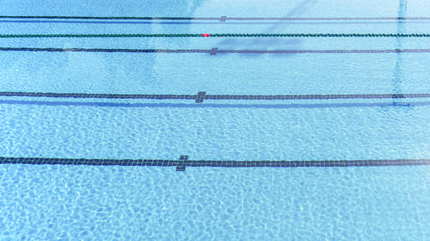 istock top view of swimming pool with lanes 845503488