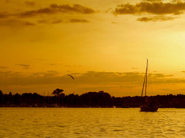istock Yacht in the sea 845506682