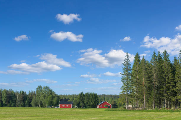Spring landscape in the park of the estate of the Pushkin family. Visible courtyards: a barn, a stable, a farmyard and a chicken coop. Russia, the village of Big Boldino