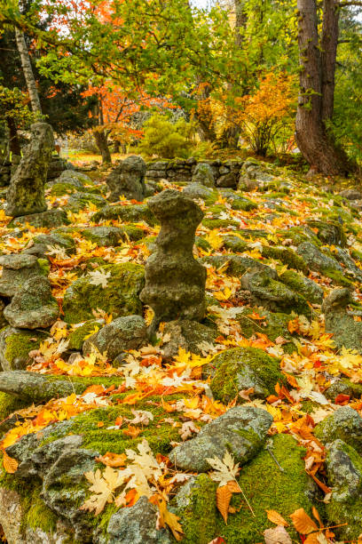 istock Autumn leaves among the rocks 845510500