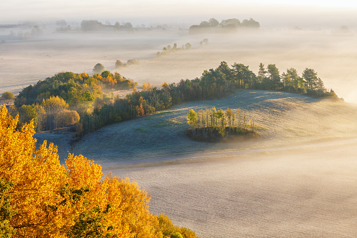 Rolling Landscape with fog in autumn
