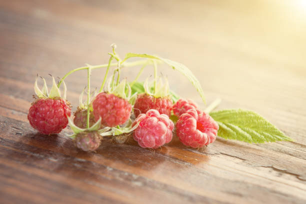 istock Wild raspberry with leaves on wooden background 845523294