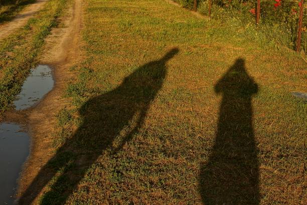 istock two shadows on the grass by the puddles 845524006