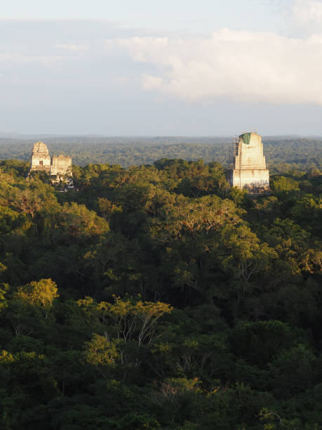 istock Tikal City Ruins and Pyramids, Guatemala 845527794
