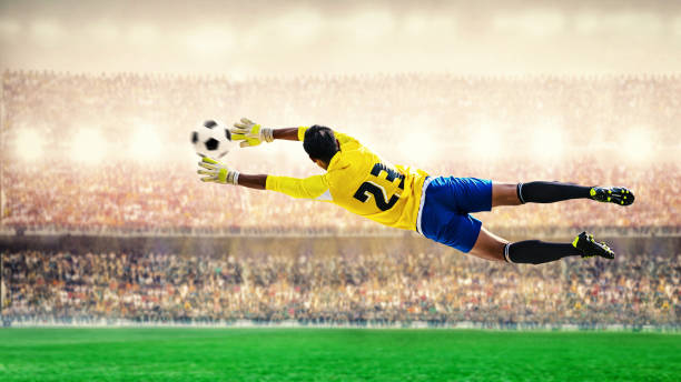 istock goalkeeper flying in the stadium 845530110
