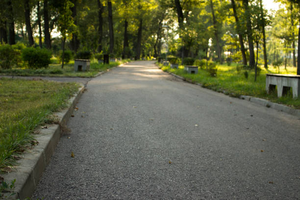 istock The park alley in the morning 845530830