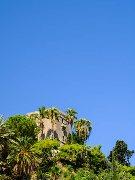 istock Tower of Charles V 845534734