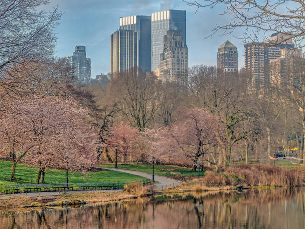 istock Central Park, New York City spring 845537564
