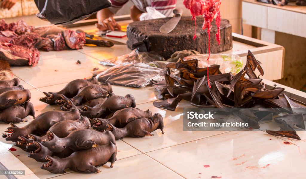 Bats at market in Indonesia Bats at market in Indonesia, extreme market, Sulawesi Business Stock Photo